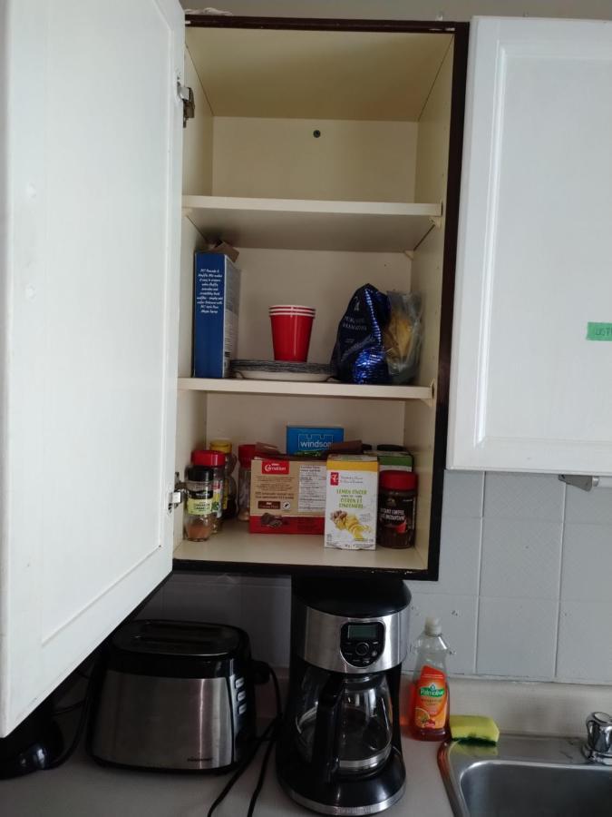 Cozy Downtown Two Bedrooms Free Parking Kingston Kültér fotó