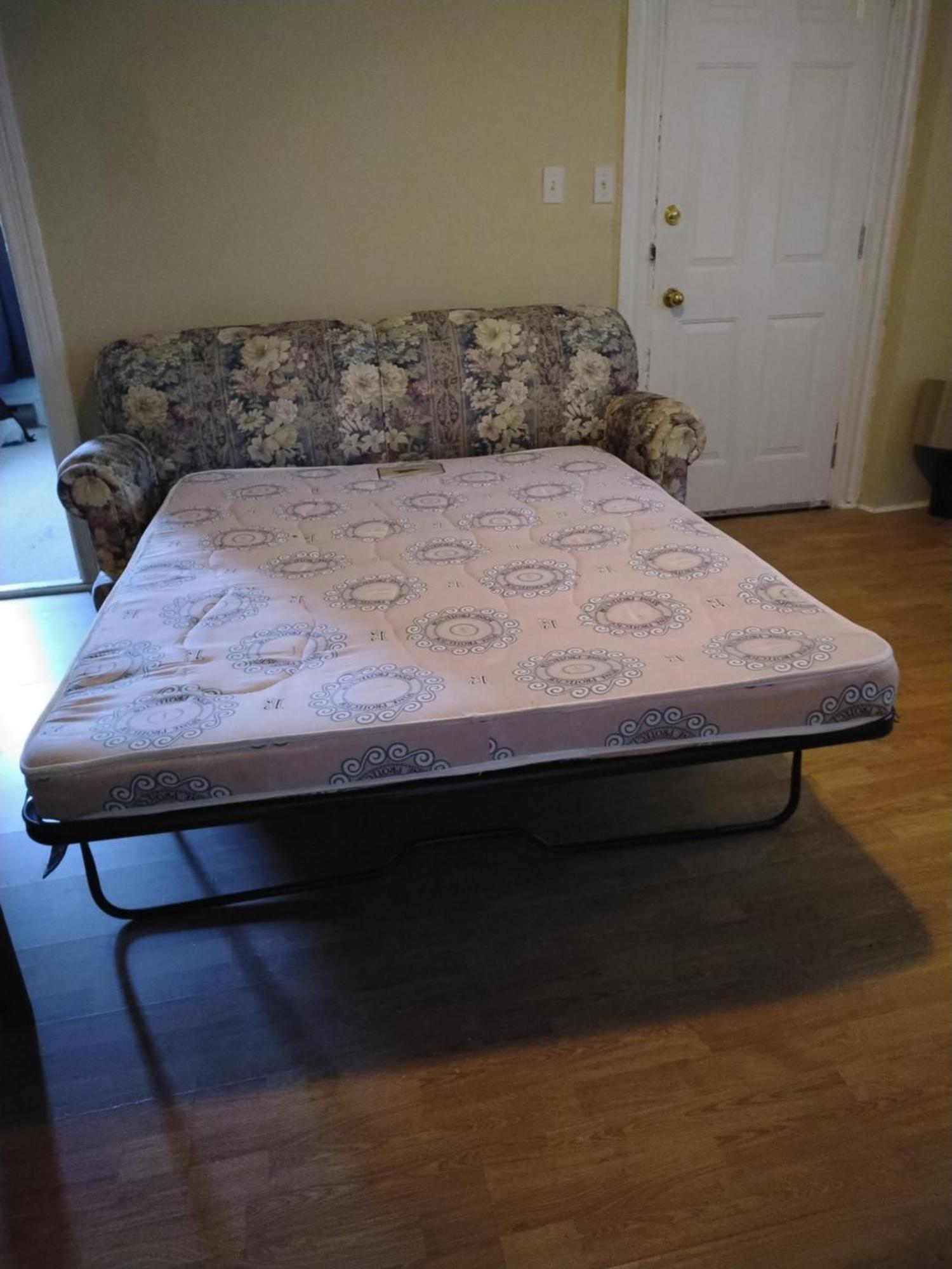 Cozy Downtown Two Bedrooms Free Parking Kingston Kültér fotó